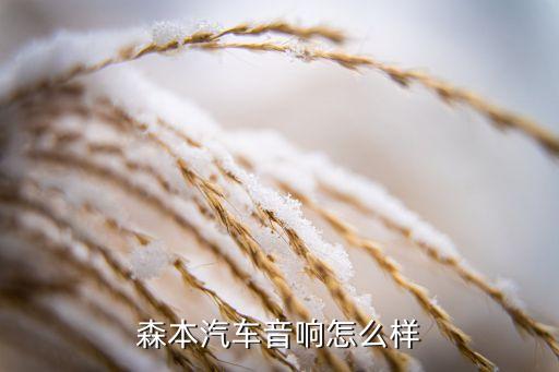 森本汽車音響怎么樣