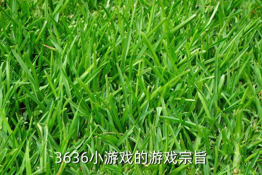 3636小游戲，3636小游戲的介紹