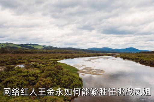 網(wǎng)絡紅人王金永如何能夠勝任挑戰(zhàn)鳳姐