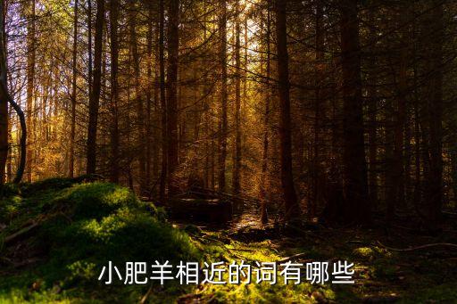 小胖羊，男人叫女人小綿羊是什么意思