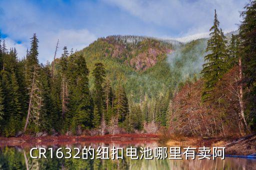 cr1632，CR1632容量120MAH 2個電池串聯6V放電電流20MA的話電池