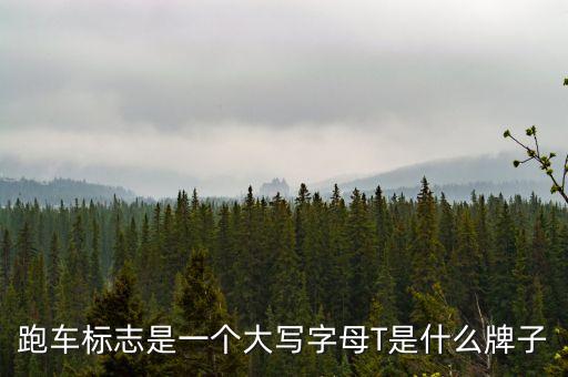 跑車標(biāo)志是一個大寫字母T是什么牌子