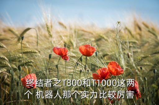 終結(jié)者機(jī)器人排名