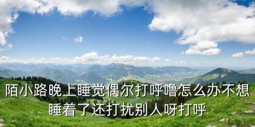 陌小路，講的是陌小路和十二風(fēng)崗少爺?shù)男≌f