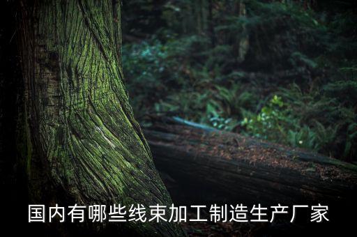 國內(nèi)有哪些線束加工制造生產(chǎn)廠家