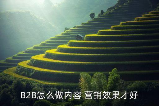 B2B怎么做內容 營銷效果才好