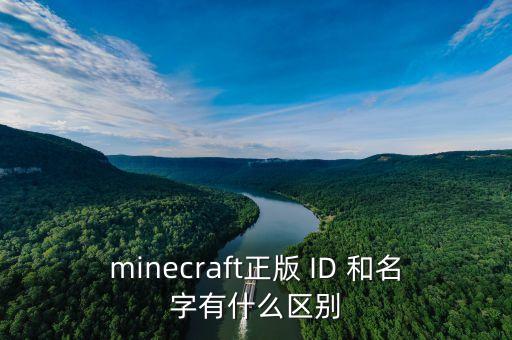 minecraft正版 ID 和名字有什么區(qū)別