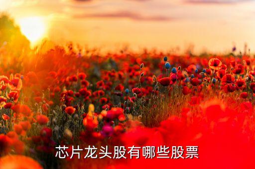 芯片龍頭股有哪些股票