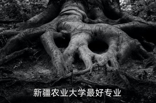 含自動(dòng)化專業(yè)的新疆的大學(xué),