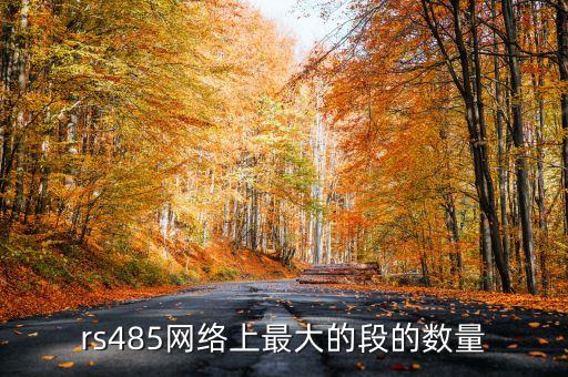 rs485網絡上最大的段的數量