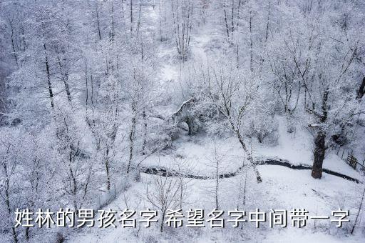 林一成，姓林的男孩名字 希望名字中間帶一字