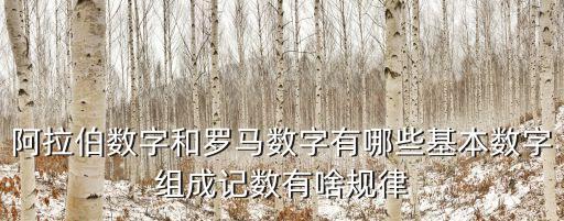 數(shù)字基礎(chǔ)，基礎(chǔ)數(shù)字是什么