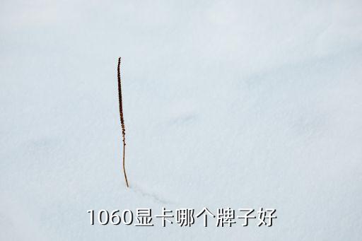 1060顯卡哪個牌子好