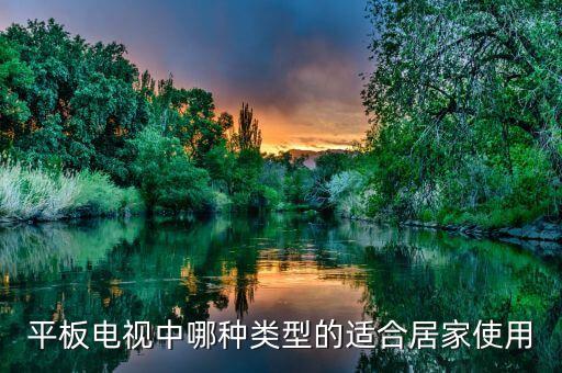 便攜式電視，想買款手持電視誰給我推薦一款
