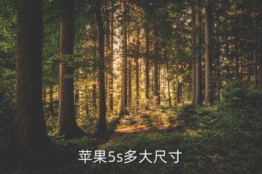 蘋果5s多大尺寸