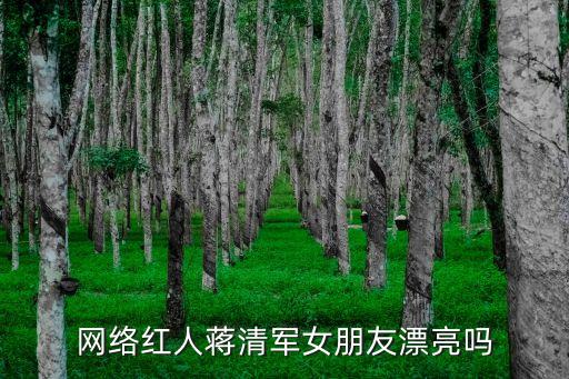 蔣清，姓蔣清字輩龍年出生的叫什么名字好聽