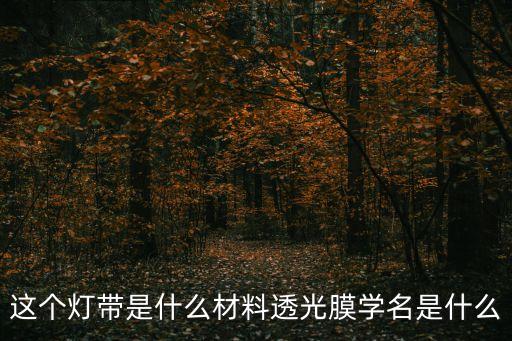 這個燈帶是什么材料透光膜學名是什么