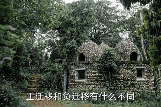 正遷移和負(fù)遷移有什么不同