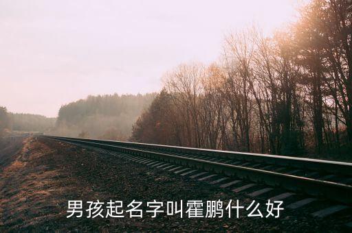 男孩起名字叫霍鵬什么好
