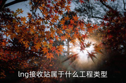 LNG接收站，國內(nèi)LNG接收站都有哪些