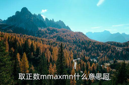取正數(shù)mmaxmn什么意思阿