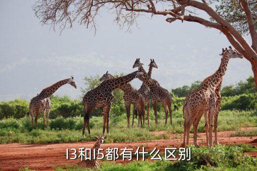 i3和i5的區(qū)別，請(qǐng)問(wèn)i3處理器和i5處理器有什么區(qū)別詳細(xì)點(diǎn)