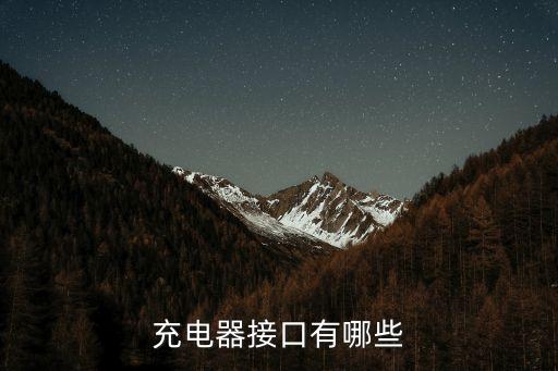 充電器接口有哪些