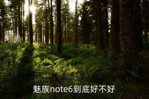 note6，小米note6怎么樣
