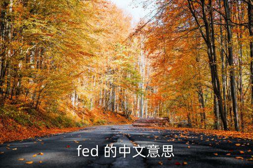 fed 的中文意思