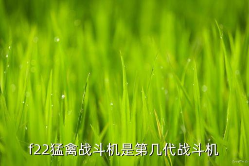 f22猛禽戰(zhàn)斗機是第幾代戰(zhàn)斗機