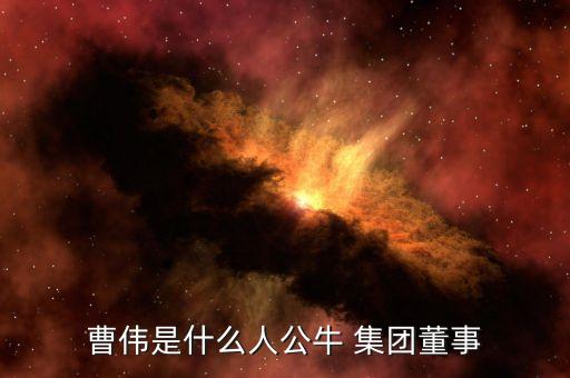 曹偉是什么人公牛 集團董事