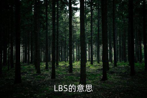 LBS的意思