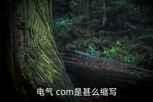 電氣 com是甚么縮寫