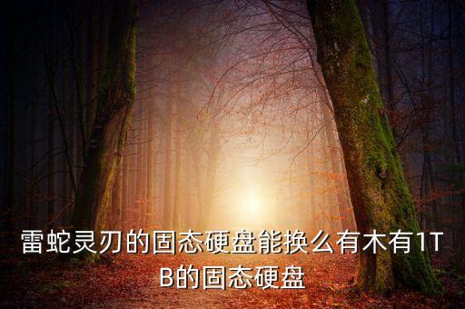雷蛇靈刃的固態(tài)硬盤能換么有木有1TB的固態(tài)硬盤