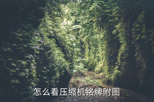怎么看壓縮機(jī)銘牌附圖