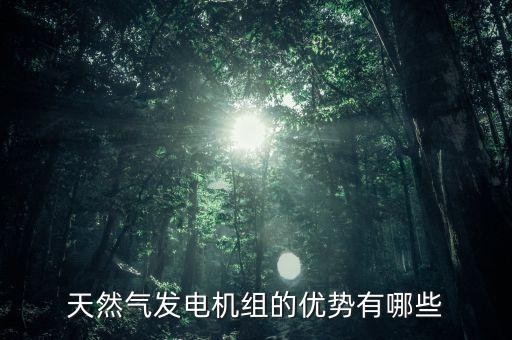 天然氣發(fā)電機(jī)組，天然氣發(fā)電機(jī)組的優(yōu)勢(shì)有哪些