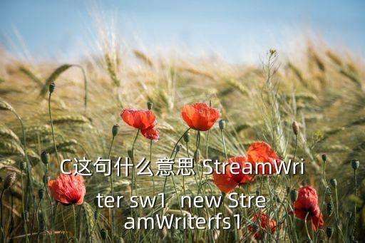 fs1，街頭籃球2跟FS1區(qū)別在哪呢內(nèi)側(cè)的朋友麻煩說(shuō)說(shuō)情況謝謝了