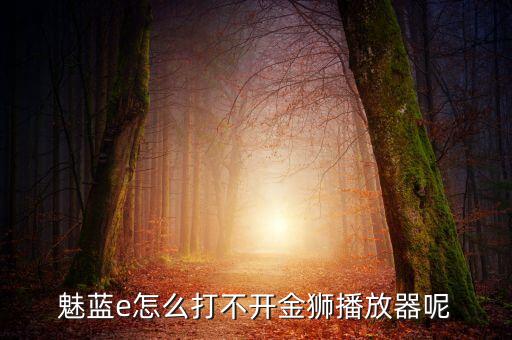 魅藍(lán)e怎么打不開金獅播放器呢