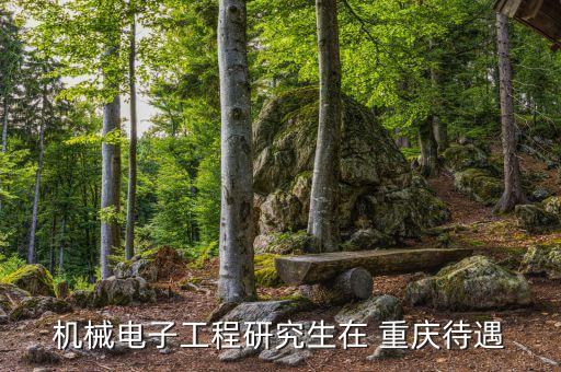 機(jī)械電子工程研究生在 重慶待遇