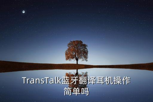 翻譯耳機(jī)，在開政治會(huì)議時(shí)每個(gè)人帶的耳機(jī)是不是有同步翻譯的功能可以翻譯