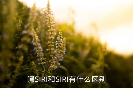 嘿SIRI和SIRI有什么區(qū)別