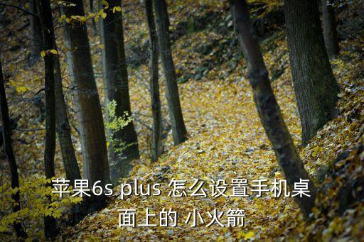 ios小火箭，蘋果6s plus 怎么設(shè)置手機桌面上的 小火箭