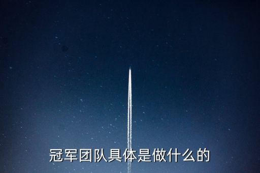 冠軍團隊，冠軍團隊具體是做什么的