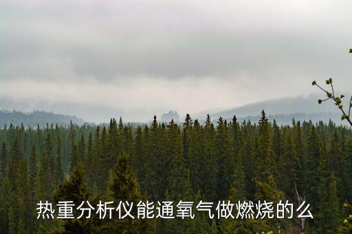 熱重分析儀能通氧氣做燃燒的么