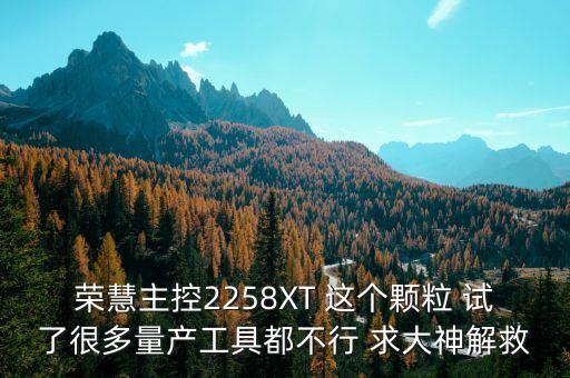 2258xt，榮慧主控2258XT 這個顆粒 試了很多量產(chǎn)工具都不行 求大神解救