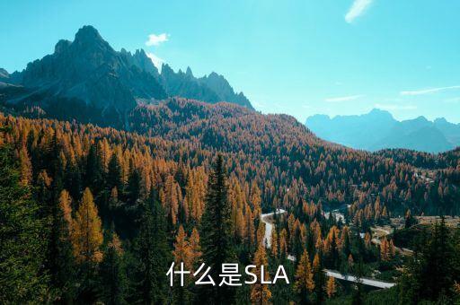 sla，SLA快速成型3d打印中SLA指的是什么