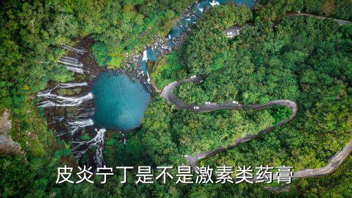 皮炎寧丁是不是激素類藥膏