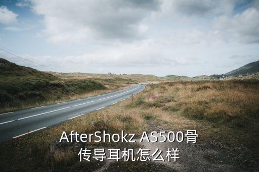 AfterShokz AS500骨傳導(dǎo)耳機(jī)怎么樣