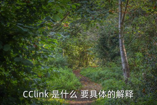 cclink，CClink 是什么 要具體的解釋