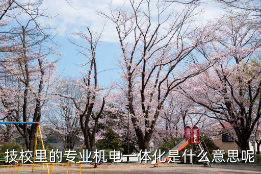 技校里的專業(yè)機電一體化是什么意思呢